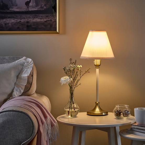 Lamp holder wire